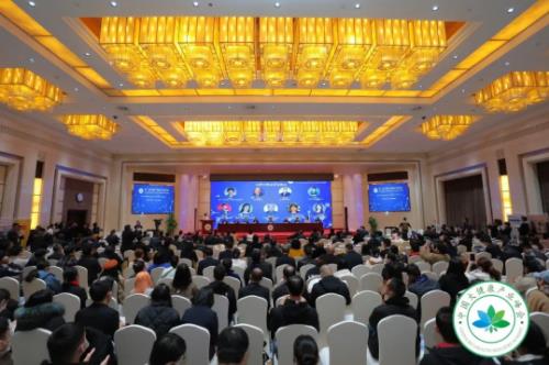 王保平院长受邀出席第二届中国大健康产业峰会